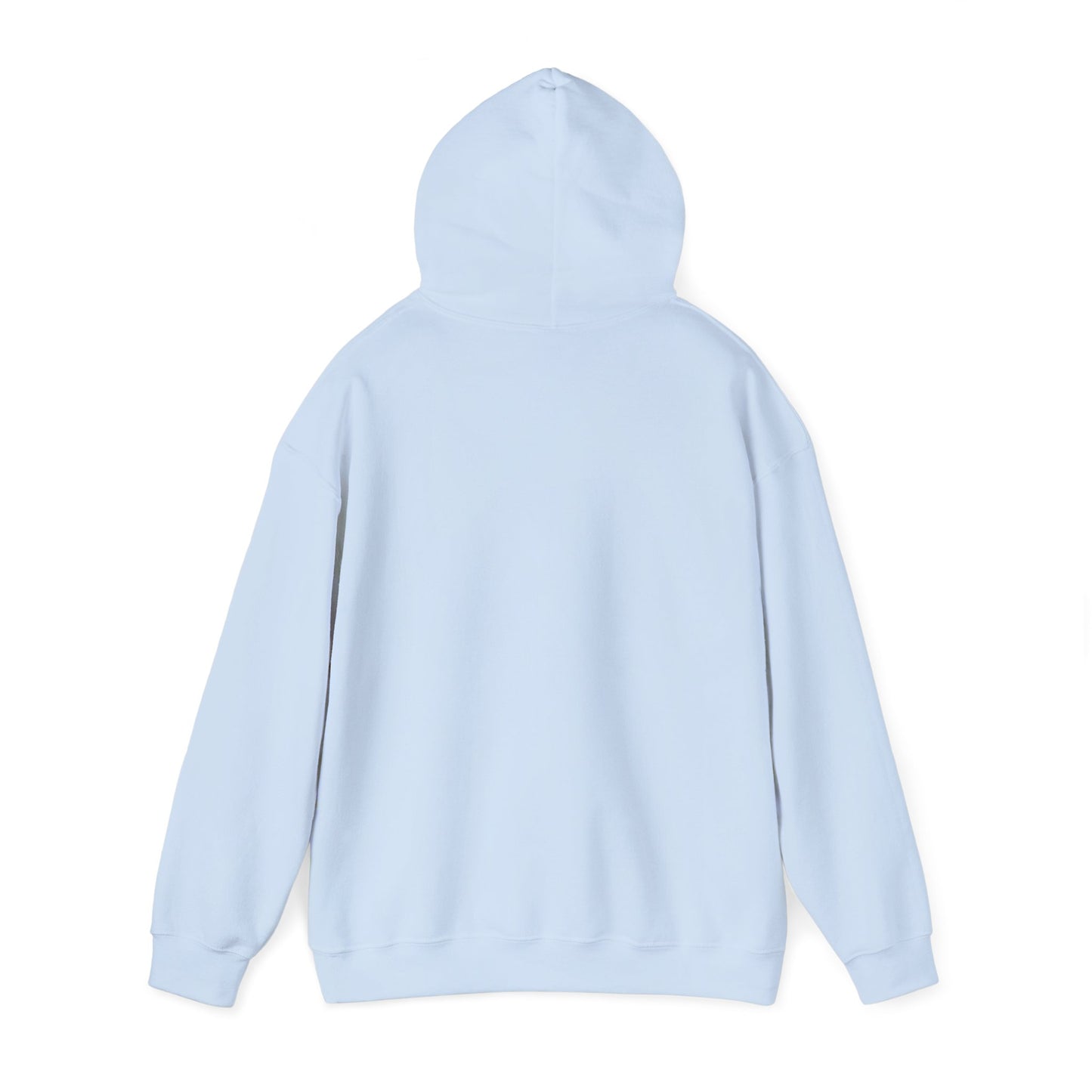 Masala in My DNA Hoodie - Desi Streetwear Graphic Sweatshirt